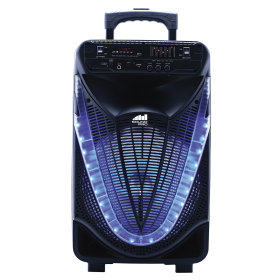 Naxa Portable 12" Bluetooth Party Speaker with Disco Lights